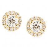 Diamond Rose Gold Halo Earrings