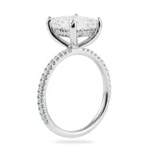 princess cut diamond 2.5 carats engagement ring
