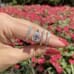 3.02ct Emerald Cut Diamond Three-Stone Engagement Ring flowers