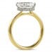 2.70 carat Emerald Cut Lab Diamond Solitaire Engagement Ring profile