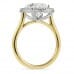 3.71 carat Oval Lab Diamond Halo Ring profile