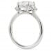 2 carat Cushion Cut Lab Diamond Three Stone Engagement Ring profile
