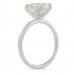 Oval Moissanite Pave Prong Solitaire Engagement Ring profile view