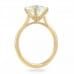 3 carat Round Diamond Yellow Gold Solitaire Six-Prong Ring pave prong