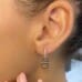 Oval Drop Link Earrings ear