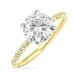 Round Moissanite Two-Tone Ring angle